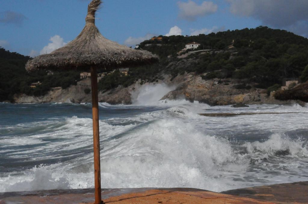 Temporales de Levante en la fachada mediterránea española: ¿sucesos imprevisibles?